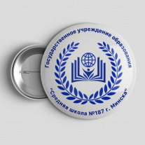 Значок Школа №187